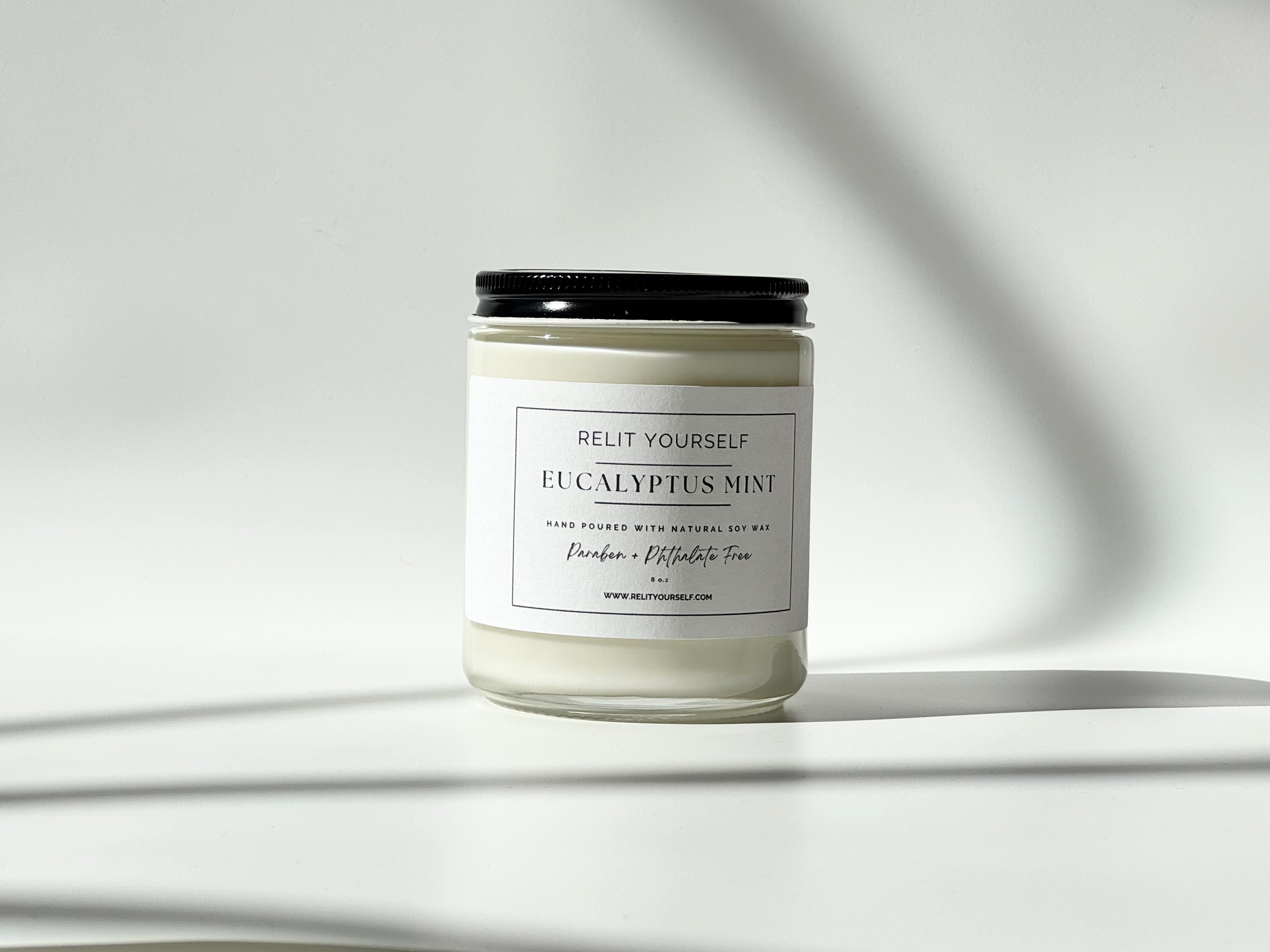 Eucalyptus Mint | Frosted Eucalyptus & Wild Mint | 8oz Scented Soy Candle - Relit Yourself Candle & Co