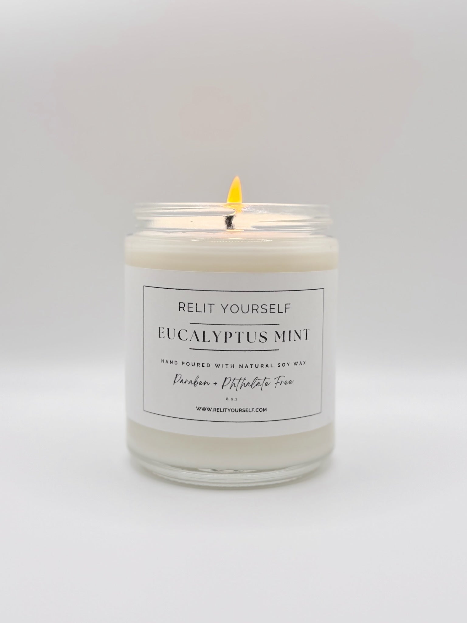 Eucalyptus Mint | Frosted Eucalyptus & Wild Mint | 8oz Scented Soy Candle - Relit Yourself Candle & Co