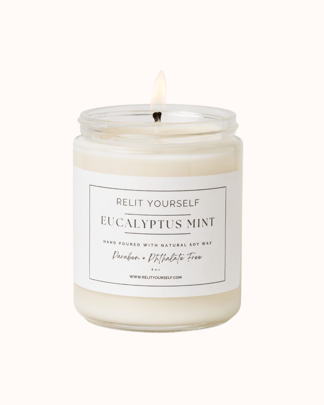 Eucalyptus Mint | Frosted Eucalyptus & Wild Mint | 8oz Scented Soy Candle - Relit Yourself Candle & Co